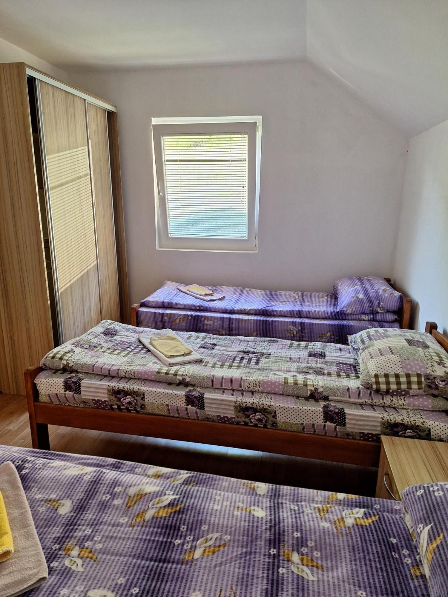 Apartman Ognjenovic Διαμέρισμα Plužine Εξωτερικό φωτογραφία